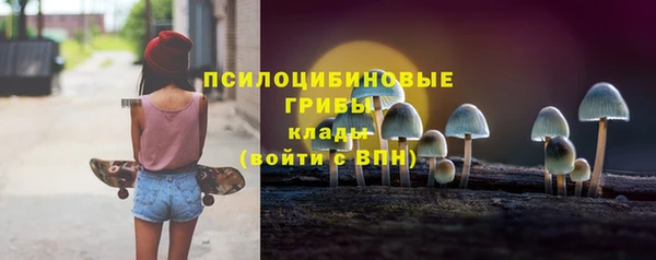 шишки Осташков