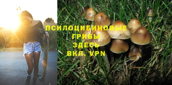 прущий лед Надым