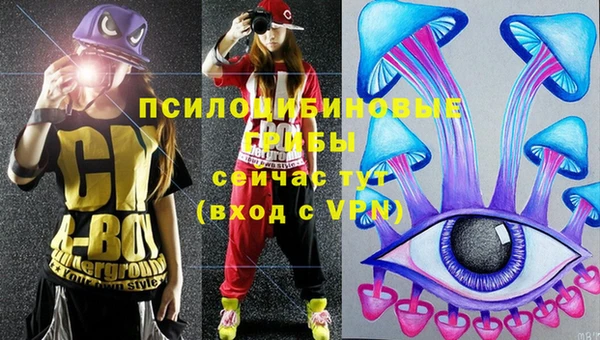 дмт Нефтекумск