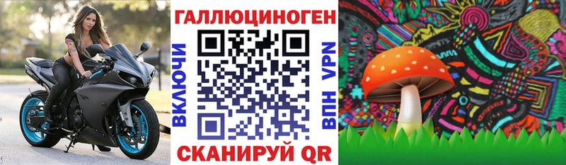 Галлюциногенные грибы мицелий MEGA ССЫЛКА Одинцово где купить наркоту