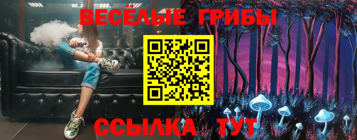 Одинцово  Псилоцибиновые грибы Magic Shrooms  закладка  Вход с VPN  Псилоцибиновые грибы Psilocybine cubensis 